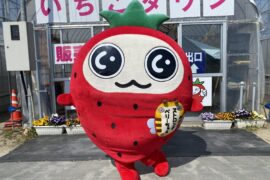 子供会イチゴ狩を開催しました